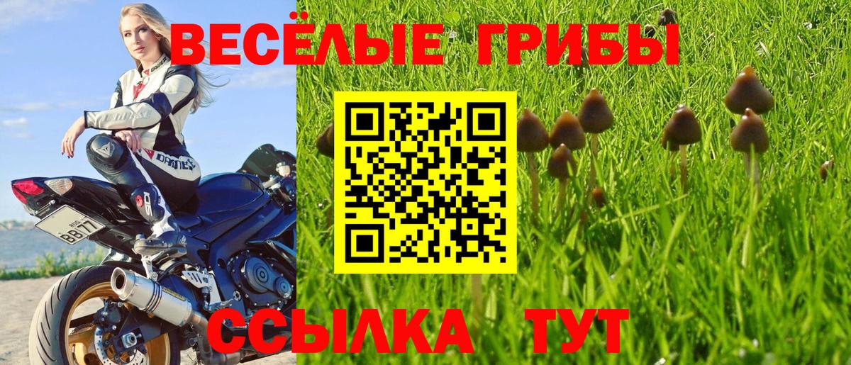 Липецк  Галлюциногенные грибы мухоморы  Псилоцибиновые грибы Magic Shrooms  Вход с VPN 