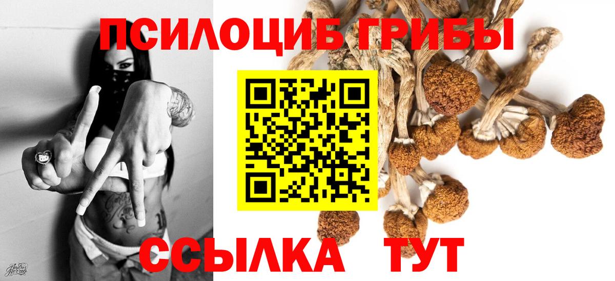 Псилоцибиновые грибы GOLDEN TEACHER Липецк